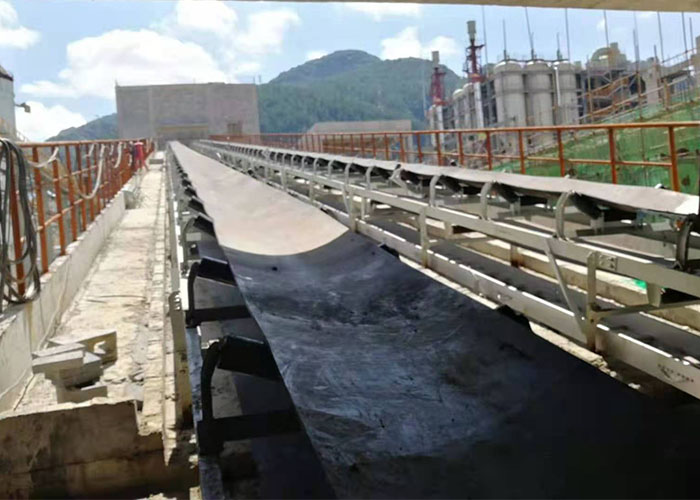 Chemical Resistant Conveyor Belt